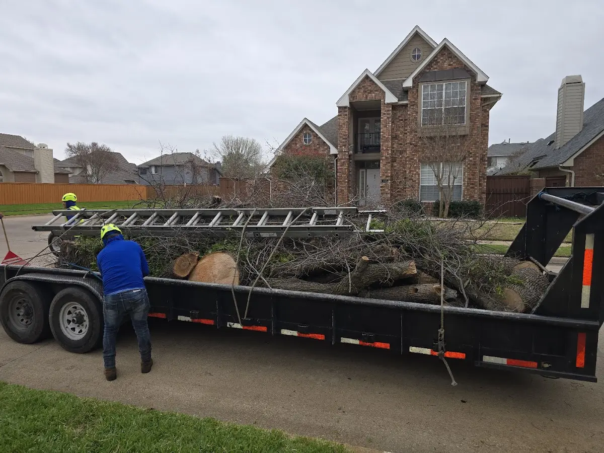 Expert Crown Reduction with proper safety equipment in Pine Grove